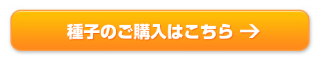 商品のご購入はこちら